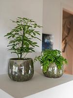 Кашпо Odile pot green D15 H13 см