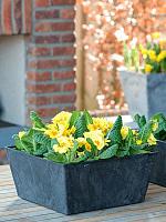 Кашпо Artstone ella bowl black L30 W30 H14 см