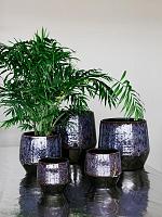 Кашпо Mist orchidpot aubergine D36 H32 см