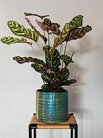 Кашпо Didi pot pearl green D11 H11 см