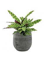 Кашпо Esra pot mystic grey D22 H20 см