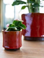 Кашпо Nolan pot red D14 H12 см