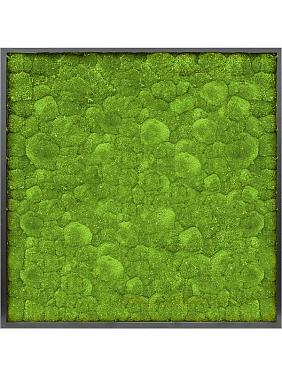 Картина из мха mdf ral 9005 satin gloss 100% ball moss Картина из мха mdf ral 9005 satin gloss 100% ball moss