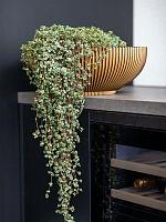 Кашпо Capi nature groove bowl black gold D40 H15 см