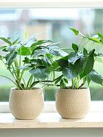 Кашпо Ryan pot shiny sand D18 H16 см