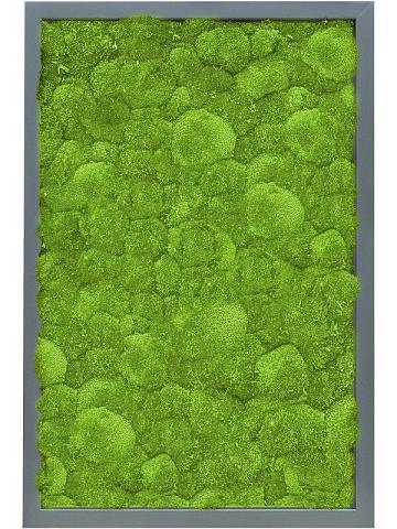 Картина из мха mdf ral 7016 satin gloss 100% ball moss Картина из мха mdf ral 7016 satin gloss 100% ball moss
