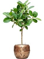 Кашпо Baq opus raw couple gold D38 H30 см