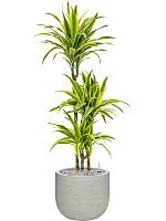 Кашпо Ridged horizontally cody s cement D28 H25 см