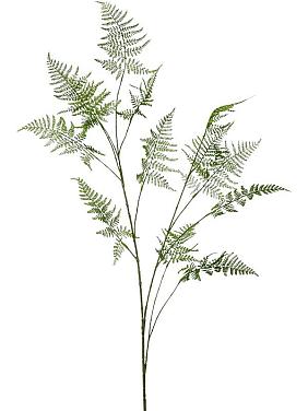 Ветка Аспарагуса искусственная Ветка Аспарагуса искусственная