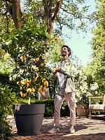 Кашпо Vibia campana round anthracite D65 H56 см Кашпо Vibia campana round anthracite D65 H56 см