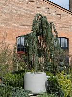 Кашпо Urban jumbo patt s beige washed D93 H77 см