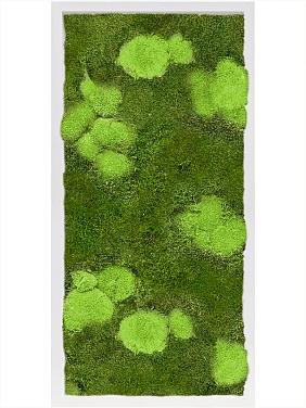 Картина из мха mdf ral 9010 satin gloss 30% ball- and 70% flat moss Картина из мха mdf ral 9010 satin gloss 30% ball- and 70% flat moss