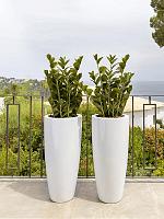 Кашпо Fiberstone dax l glossy white D37 H80 см