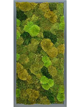 Картина из мха mdf ral 7016 satin gloss 20% flat and 80% exclusive moss (mix)