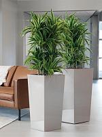 Кашпо Baq ecoline rise regular kubis L36 W36 H70 см