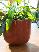 Кашпо Nine pot old pink D19 H17 см