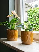 Кашпо Stella pot mustard D16 H14 см