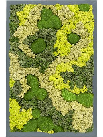 Картина из мха mdf ral 7016 satin gloss 30% ball moss 70% reindeer moss (mix) Картина из мха mdf ral 7016 satin gloss 30% ball moss 70% reindeer moss (mix)