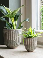 Кашпо Roger pot thyme D17 H17 см