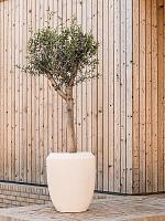 Кашпо Baq polystone coated plain coppa natural (с техническим горшком) D45 H55 см