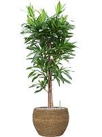 Кашпо Bohemian abby s straw grass D30 H21 см Кашпо Bohemian abby s straw grass D30 H21 см