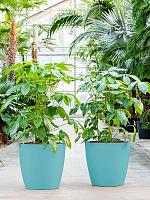 Кашпо Baq ecoline phoenix regular couple D38 H33 см