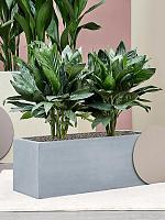 Кашпо Argento box natural grey L80 W30 H30 см Кашпо Argento box natural grey L80 W30 H30 см