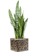 Кашпо Baq lava cube relic black (glazed inside) L22 W22 H20 см Кашпо Baq lava cube relic black (glazed inside) L22 W22 H20 см