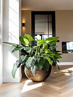 Кашпо Capi nature rib nl vase ball black gold D62 H48 см Кашпо Capi nature rib nl vase ball black gold D62 H48 см