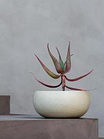 Кашпо Grigio low balloon antique white D55 H25 см