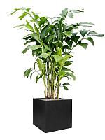 Кашпо Fiberstone block l black L50 W50 H50 см