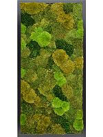 Картина из мха mdf ral 9005 satin gloss 20% flat and 80% exclusive moss (mix)) L120 W60 H6 см