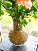 Ваза Camil vase oasis D21 H27 см