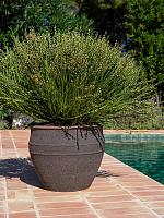 Кашпо Mediterranean athena m umber brown D40 H33 см