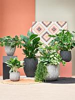 Кашпо Wave bond s, charcoal cement D35 H46 см