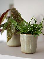 Кашпо Hedy pot thyme D13 H13 см