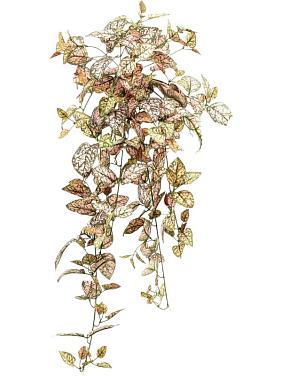 Гипоэстес ампельный искусственный