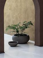 Кашпо Terreno low balloon clay D55 H25 см