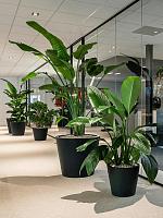 Кашпо Fiberstone jumbo bucket m black D98 H85 см