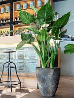 Кашпо Oyster bernd s imperial brown D33 H37 см