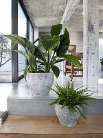 Кашпо Oyster claire s imperial white D54 H44 см