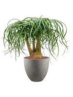 Кашпо Grigio egg pot natural-concrete D32 H29 см