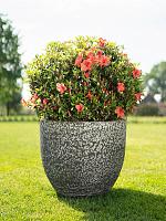 Кашпо Valeria pot anthracite (набор 5 шт) D100 H90 см