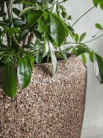 Кашпо Baq naturescast couple natural D65 H65 см Кашпо Baq naturescast couple natural D65 H65 см
