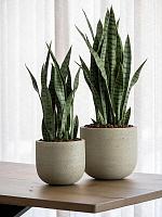 Кашпо Cement & stone cody s beige washed D24 H22 см