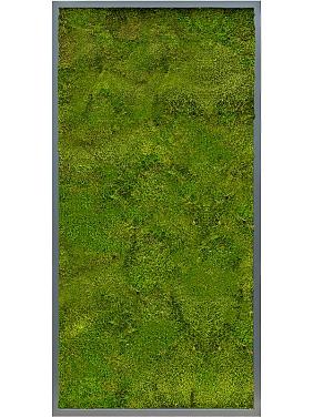 Картина из мха mdf ral 7016 satin gloss 100% flat moss Картина из мха mdf ral 7016 satin gloss 100% flat moss