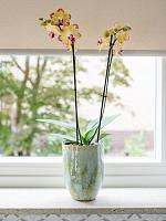 Кашпо Davide pot apple green D15 H20 см