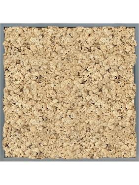 Картина из мха mdf ral 7016 satin gloss 100% reindeer (natural) Картина из мха mdf ral 7016 satin gloss 100% reindeer (natural)