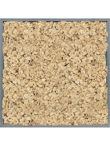 Картина из мха mdf ral 7016 satin gloss 100% reindeer (natural) Картина из мха mdf ral 7016 satin gloss 100% reindeer (natural)