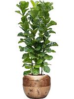 Кашпо Baq opus raw couple gold D50 H40 см